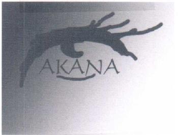 Imagen de AKANA