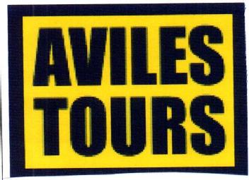 Imagen de AVILES TOURS