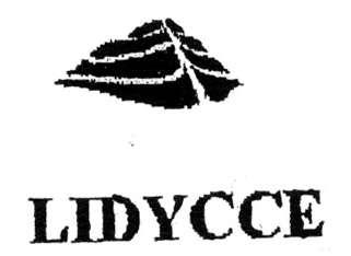 Imagen de LIDYCCE