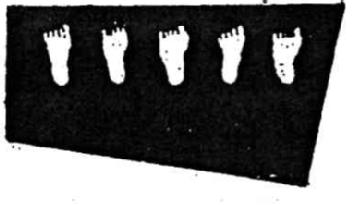 Imagen de M1238031