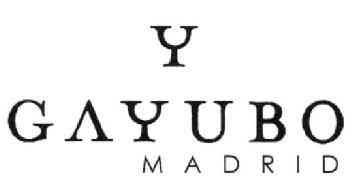 Imagen de Y GAYUBO MADRID