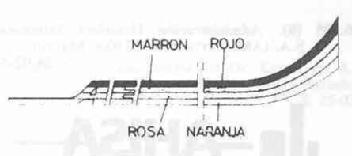Imagen de AE