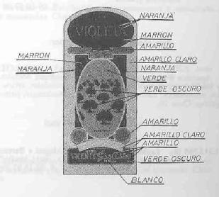 Imagen de VIOLETA