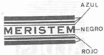 Imagen de MERISTEM