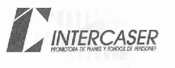 Imagen de CI INTERCASER