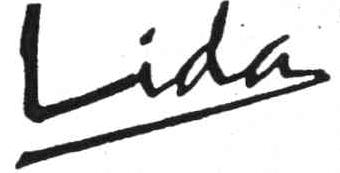 Imagen de LIDA