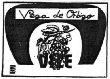Imagen de VEGA DE ORBIGO VILE