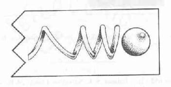 Imagen de M1246654