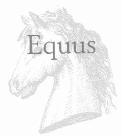 Imagen de EQUUS