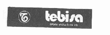 Imagen de T TEBISA