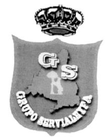 Imagen de G S GRUPO SERVIALEYFA