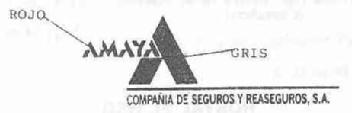 Imagen de AMAYA COMPAÑIA DE SEGUROS Y REASEGUROS, S.A