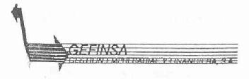 Imagen de GEFINSA