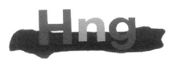 Imagen de HNG