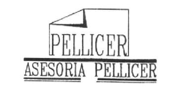 Imagen de PELLICER ASESORIA PELLICER
