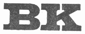 Imagen de BK