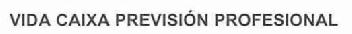Imagen de VIDA CAIXA PREVISION PROFESIONAL