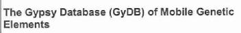 Imagen de THE GYPSY DATABASE (GYDB) OF MOBILE GENETIC ELEMENTS