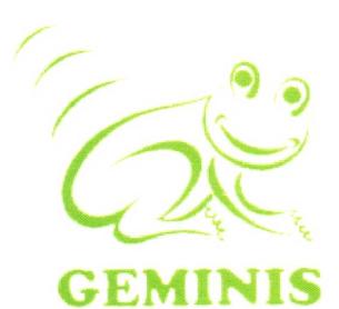 Imagen de GEMINIS