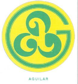 Imagen de AGUILAR G A