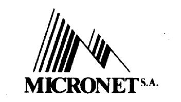 Imagen de M MICRONET S.A