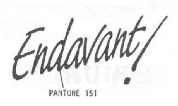 Imagen de ENDAVANT