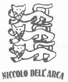 Imagen de NICCOLO DELL\'ARCA
