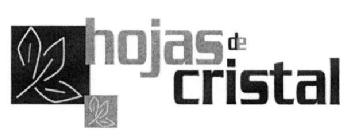 Imagen de HOJAS DE CRISTAL