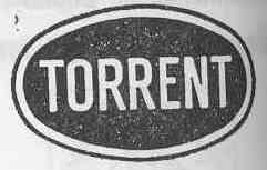 Imagen de TORRENT