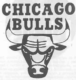 Imagen de CHICAGO BULLS