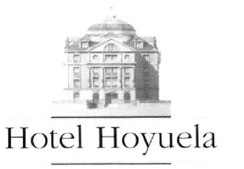 Imagen de HOTEL HOYUELA