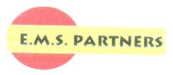 Imagen de E.M.S. PARTNERS