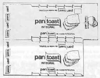 Imagen de PAN TOAST