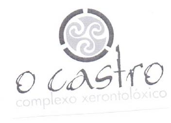Imagen de O CASTRO. COMPLEXO XERONTOLOXICO