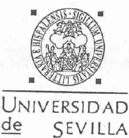 Imagen de UNIVERSIDAD DE SEVILLA
