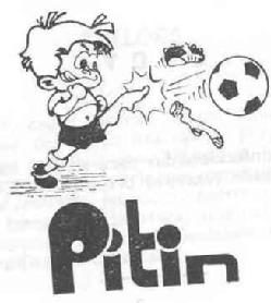 Imagen de PITIN