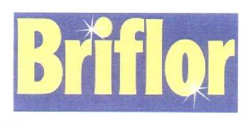 Imagen de BRIFLOR