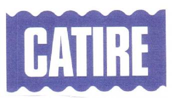 Imagen de CATIRE