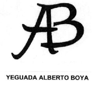 Imagen de AB YEGUADA ALBERTO BOYA