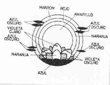 Imagen de M1283056