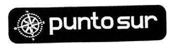 Imagen de PUNTO SUR