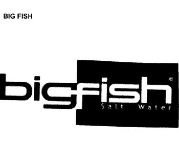 Imagen de BIGFISH SALT WATER