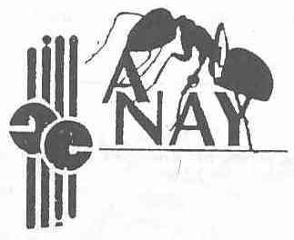 Imagen de ANAY