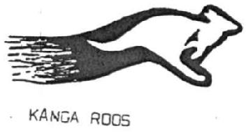Imagen de KANGA ROOS