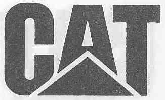 Imagen de CAT