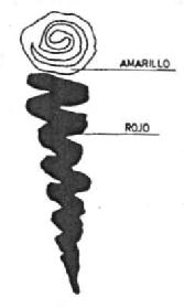 Imagen de M1295934