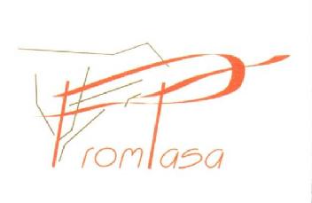 Imagen de PROMTASA