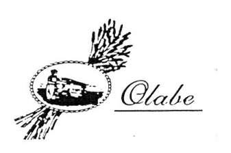 Imagen de OLABE