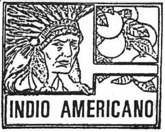 Imagen de INDIO AMERICANO