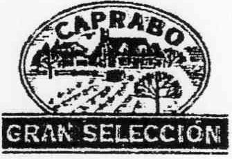 Imagen de CAPRABO GRAN SELECCION